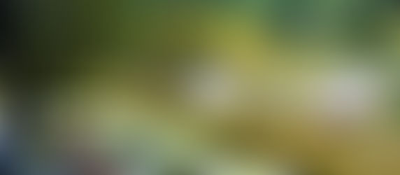 A woman sitting under a tree relaxing at Zoma Museum in Addis Ababa Ethiopia