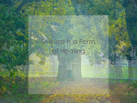 Stillness is a Form of Healing: How stillness restores balance and nurtures healing.