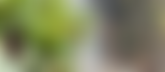 Segment 3 Introduction: Devotion and Discipline - Building Trust Between Mind and Body