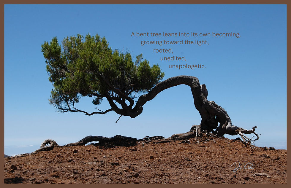 Before a bent tree belonged to the forest, it belonged to itself, found the light, and grew.