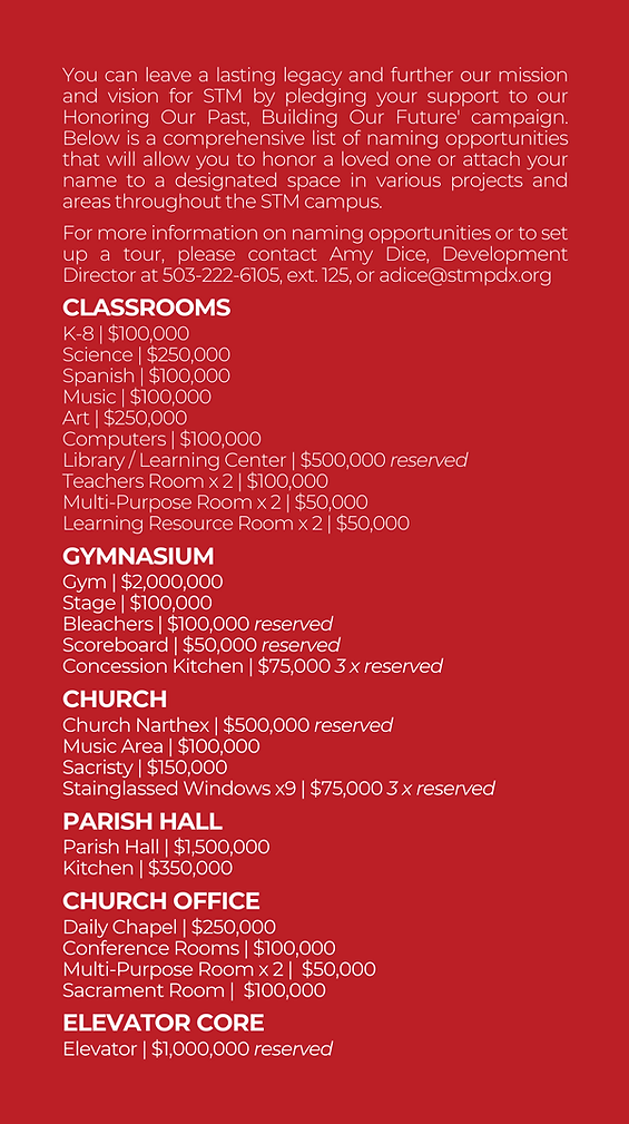 stm capital campaign naming opportunities