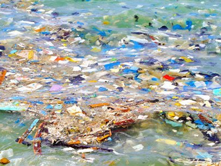Microplastiche nei laghi:
è allarme sul Sebino e nel Garda