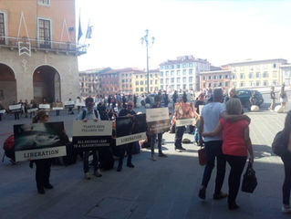 Manifestazione a Pisa contro i macelli e lo sfruttamento animale.