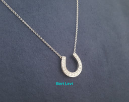 Tiffany & Co Diamond Horseshoe Pendant Necklace 0.2 ct Platinum 16"