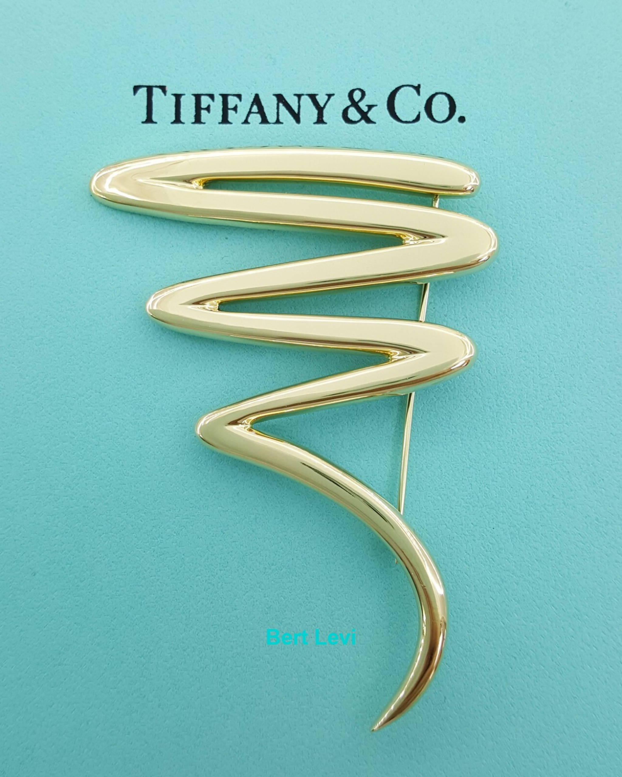Tiffany & Co Paloma Picasso 18K Zig-Zag Squiggle Pin Brooch Large 23.9Grams 2.6"