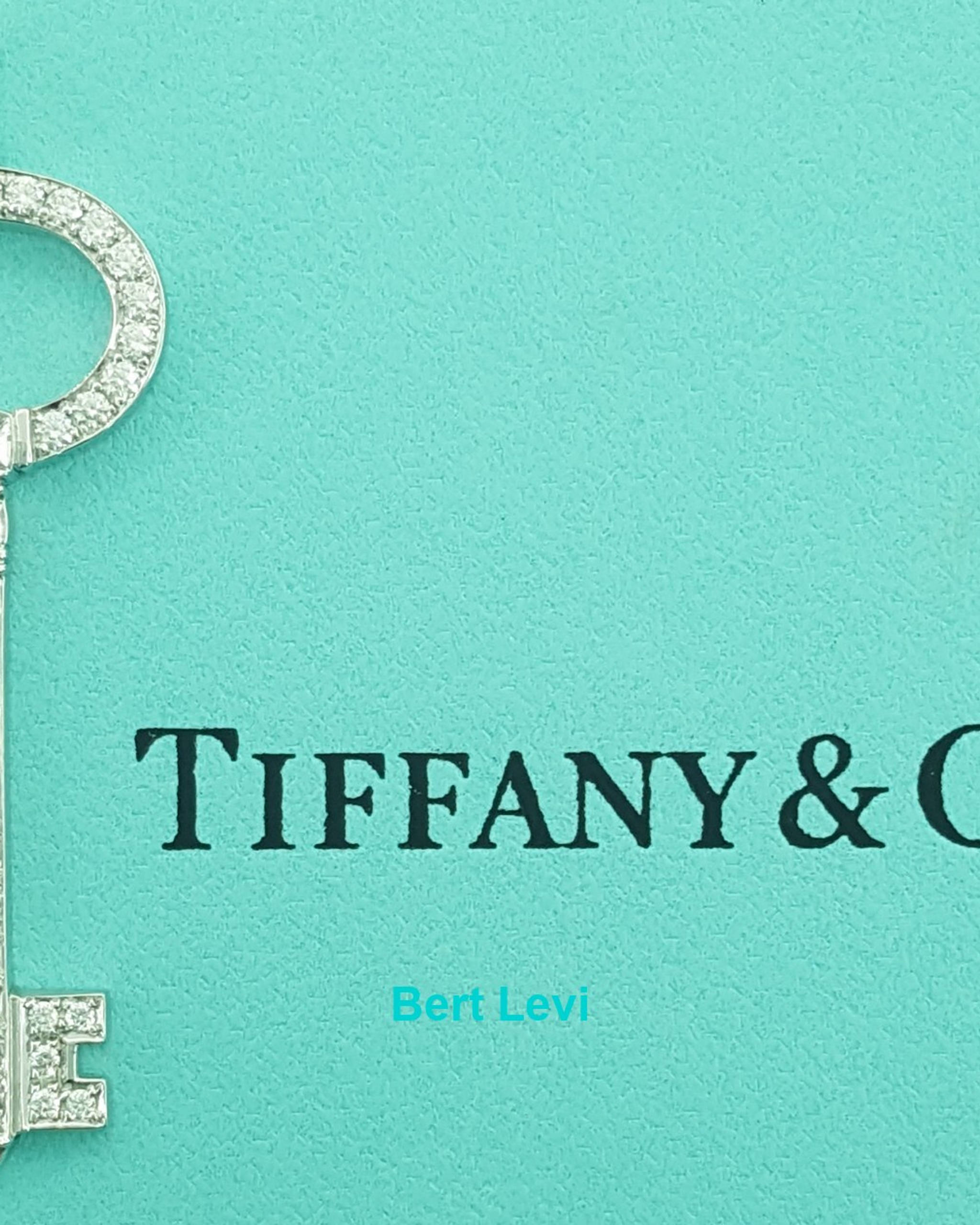 Tiffany & Co. Keys Oval Top Diamond Key Pendant Platinum 0.58 ct 1.5" Retail 7K
