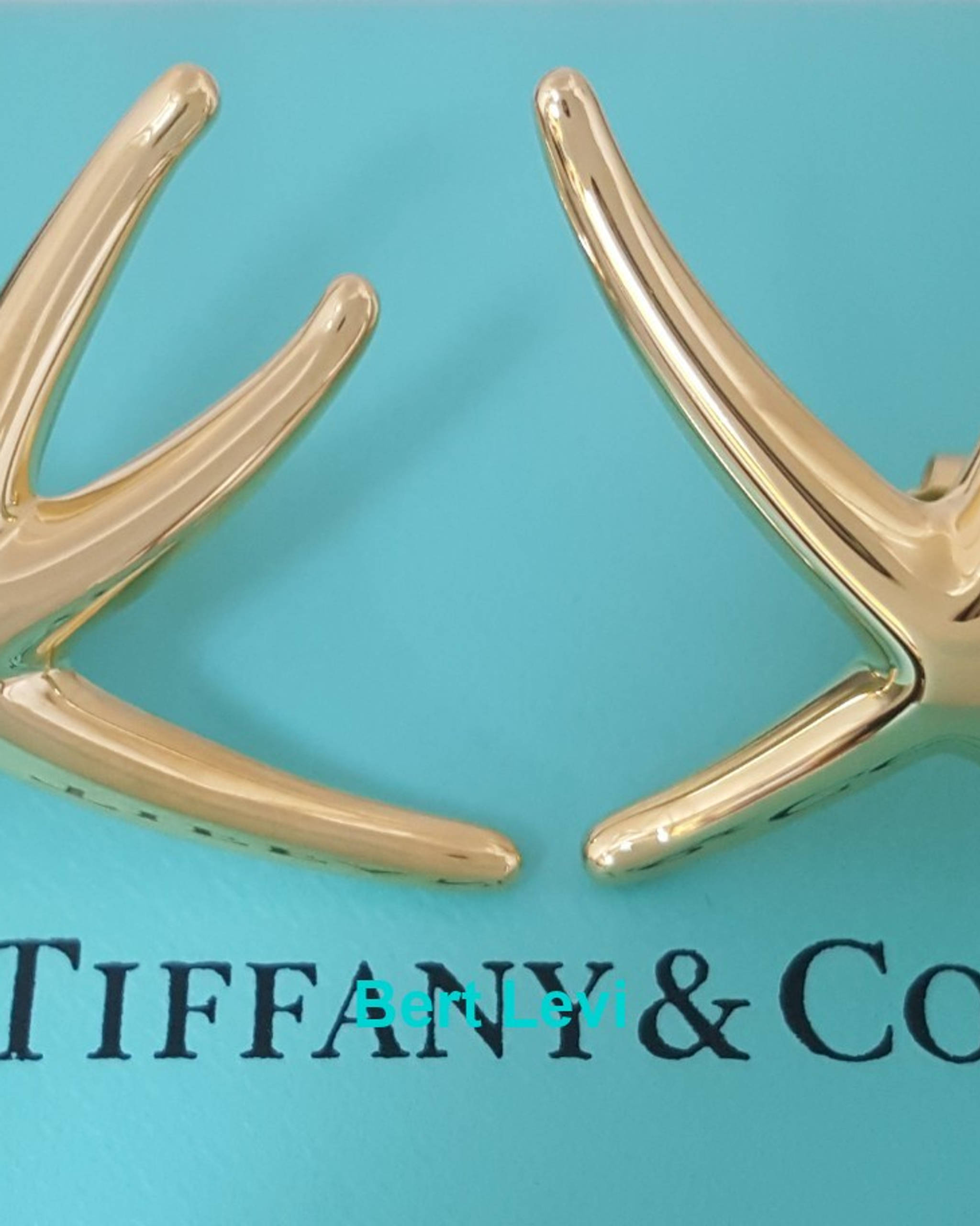 Tiffany & Co Elsa Peretti Large Starfish 18K Yellow Gold Earrings 13.5Grams 1.6"