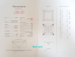 Tiffany & Co Novo Princess Cut Diamond Engagement Ring 1.7 ct Plat Retail $32.3K