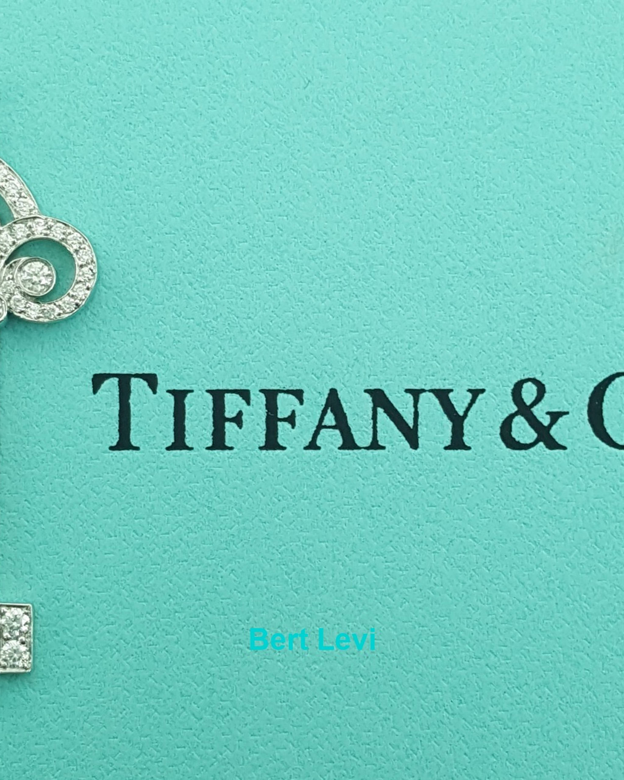 Tiffany & Co. Diamond Fleur de Lis Key Pendant Platinum 1.5" Retail $7,200