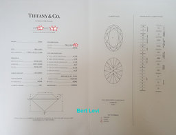 Tiffany & Co Oval Diamond Solitaire Platinum Engagement Ring 1 ct Rtl $14K
