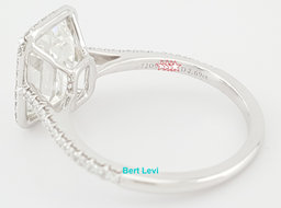 Tiffany & Co Soleste Emerald Cut Halo Diamond Engagement Ring 3 ct Retail $74k