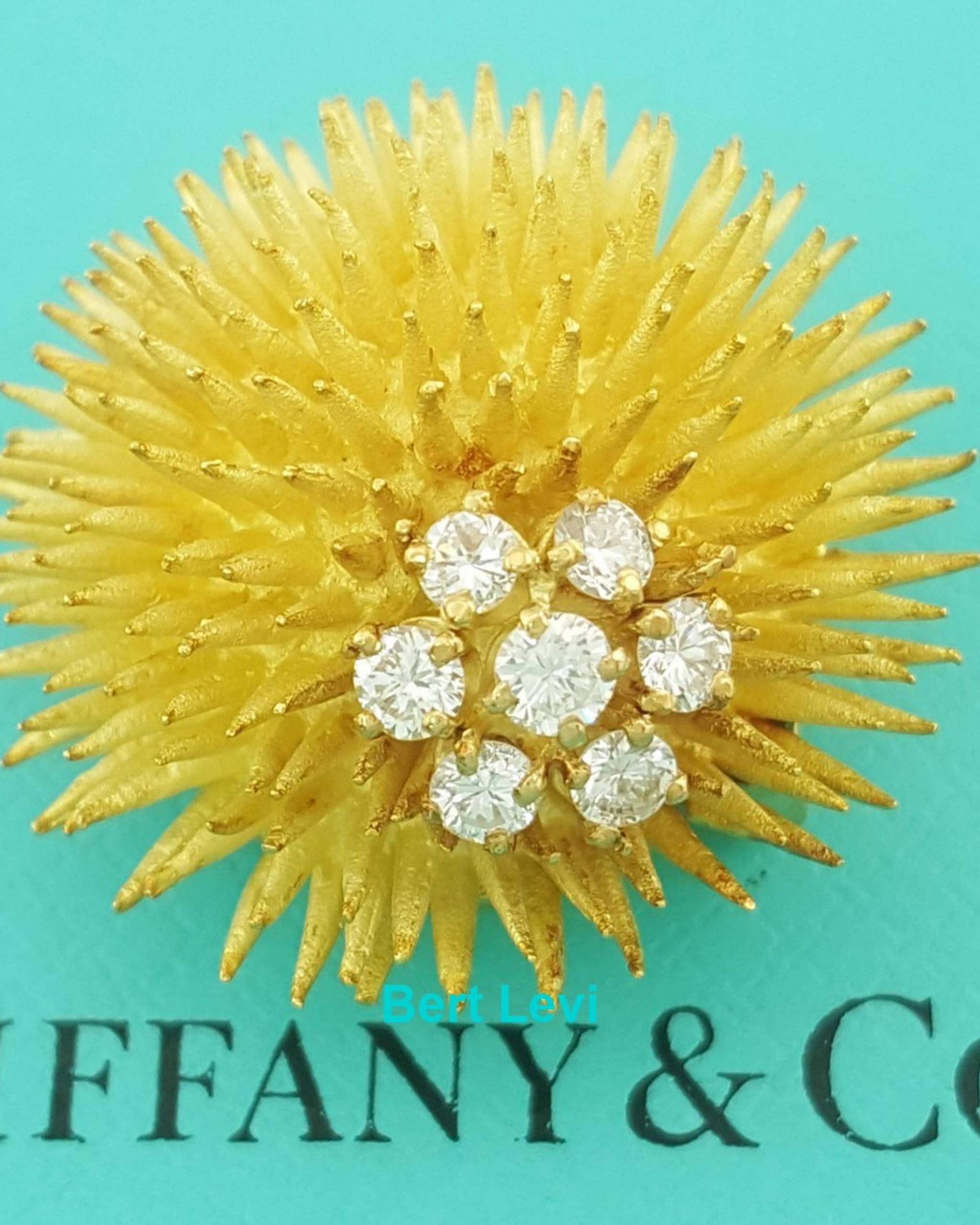 Vintage Tiffany & Co Diamond Sea Urchin Brooch Pin 0.55 ct 18k Gold 16.2 Grams