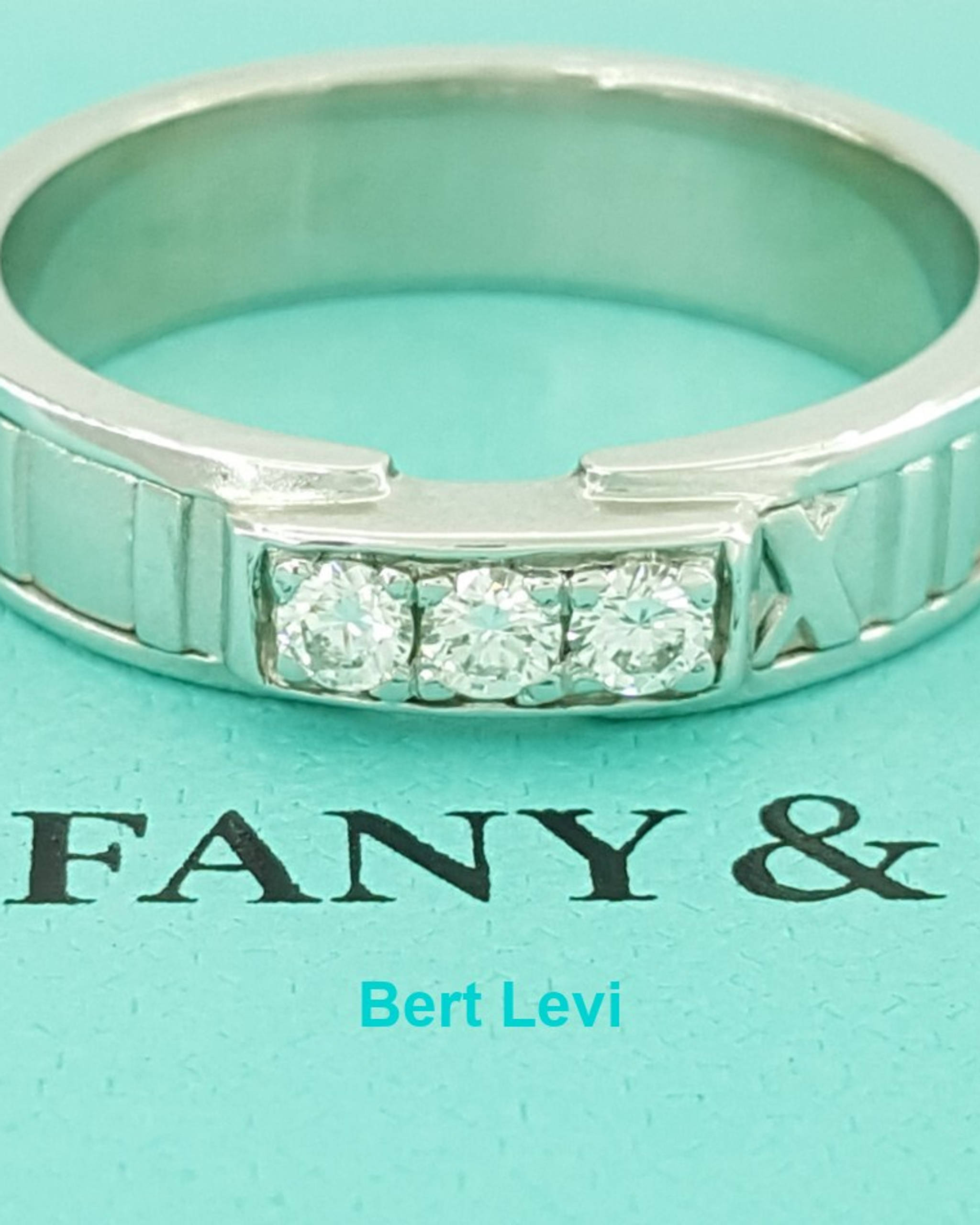 Tiffany & Co. 18k White Gold .18ct Diamond Roman Numerals Atlas Band / Ring 6 mm