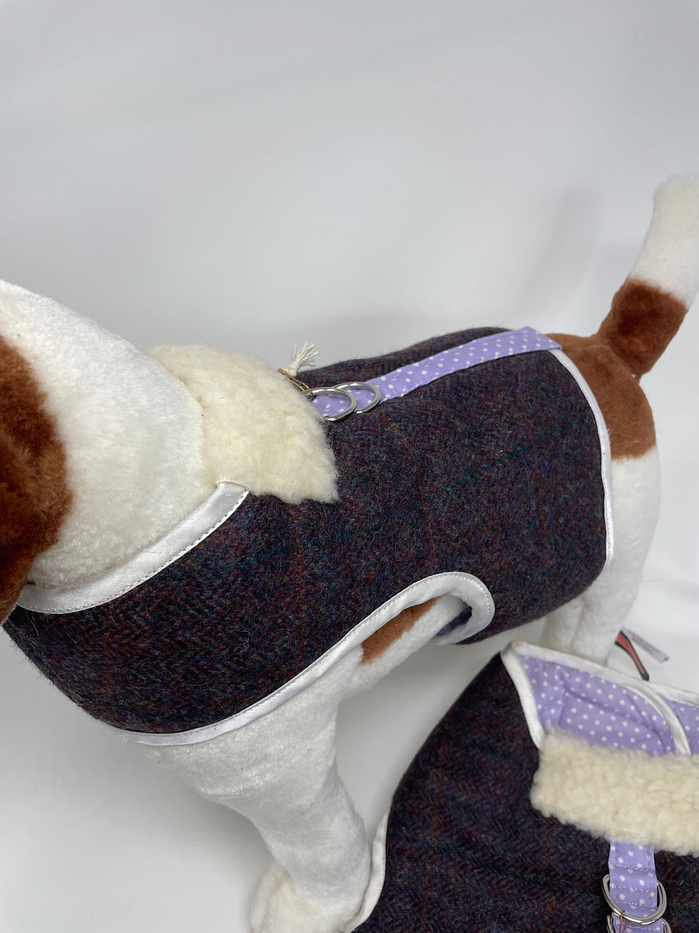 Thumbnail: HARNESS Layla purple tweed