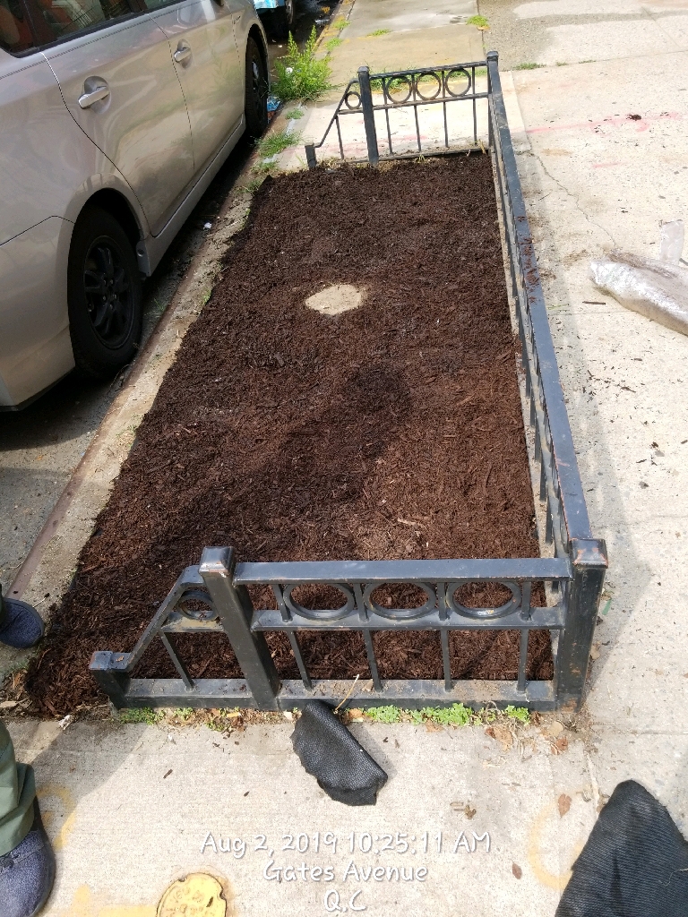 Tree Pit Projects