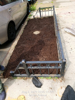 Tree Pit Projects