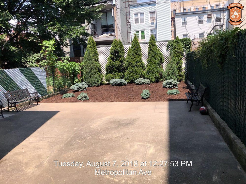 Backyard Cleaned & Mulched