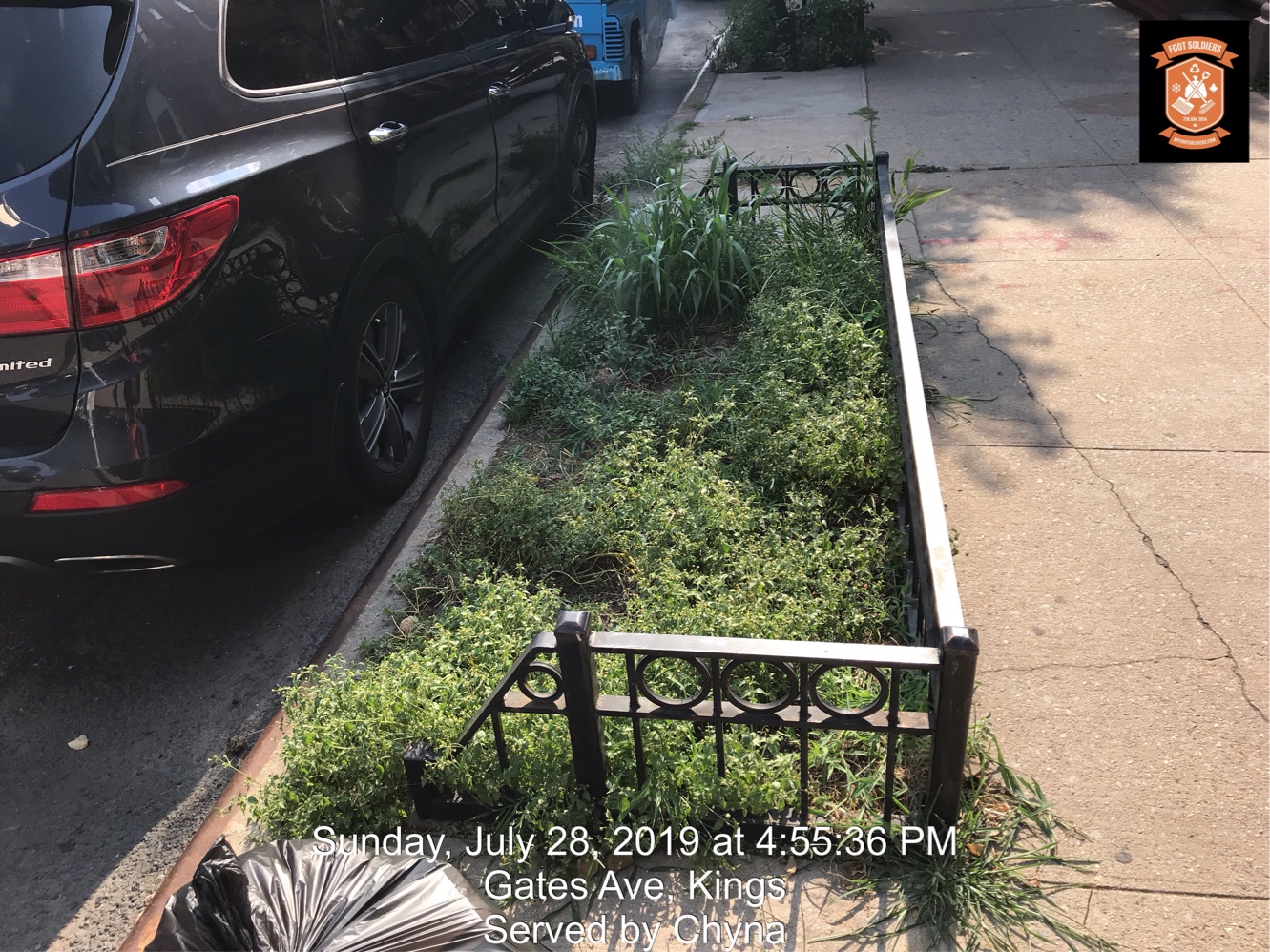 Help My Tree Pit