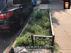 Help My Tree Pit