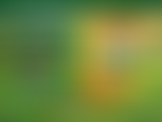 Personal Lawn Care Quote vs Instant Quote in Kansas City