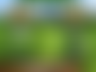 Spring Lawn Fertilizer and Weed Control in Kansas City