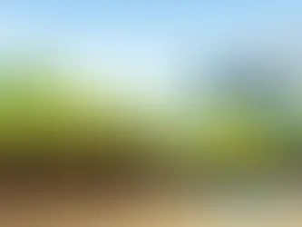 How to Water After Aeration and Overseeding