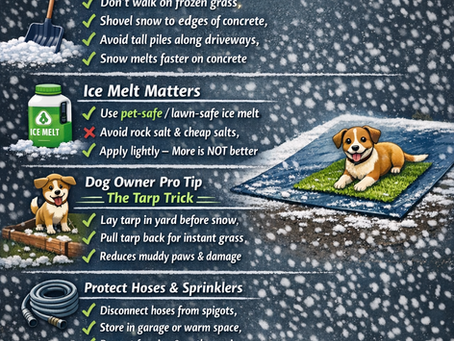 ❄️ Winter Ready: The Ultimate Winter Storm Checklist for Your Lawn (and You)