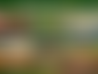 Why Is My Kansas City Lawn Thin?