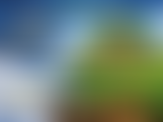 When Does Pre-Emergent Season Really Start in Kansas City?