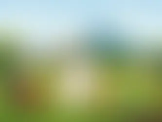 Lawn Care Schedule Guide for Kansas City