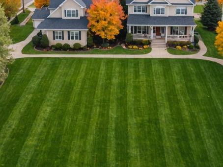 Fall Lawn Care in Kansas City: What to Do With All Those Leaves 🍂