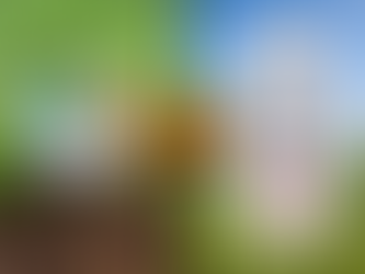 Understanding Soil Temperature & Calendar Dates and Air Temperature for Optimal Fertilization & Weed Control