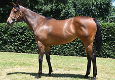 Lot 112 Mongolia.jpg