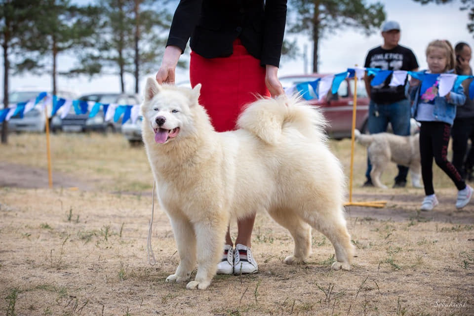 ukhaanshow