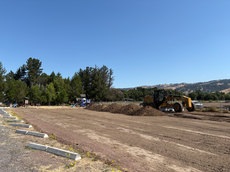 We've got dirt!