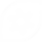 Wirral AI 2.0 Icon.png
