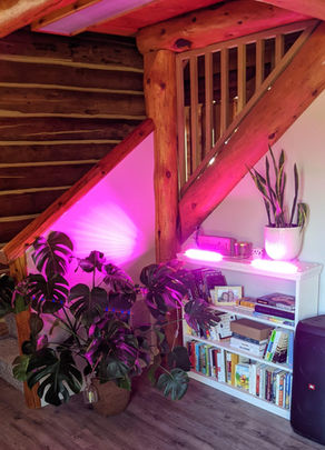 My Dream Home Part 2