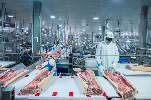 Food-Lights-for-pork-processing-facility