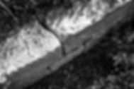 DSC06201.jpg