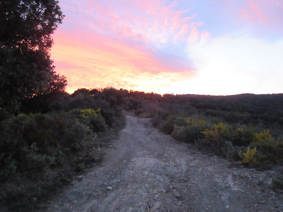 Path and Evening Sky