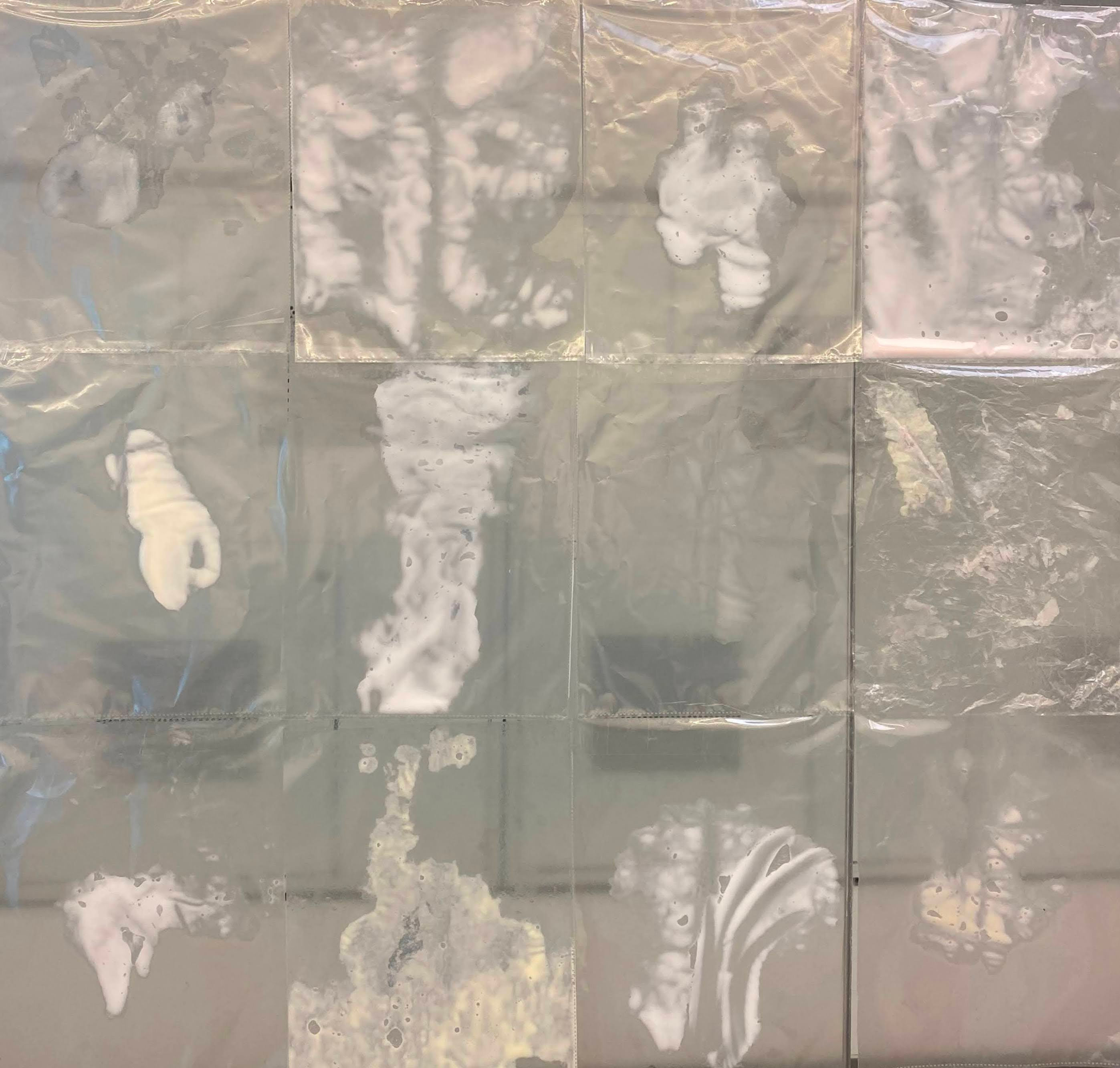 Epidermis (Emulsiones)