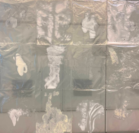 Pieza 5 epidermis (emulsiones)