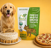 Dog posing with doggie cake & pizza, with a bag of Nieci's Green Bites treats
