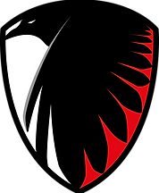 Shield Ravens FC Logo.png