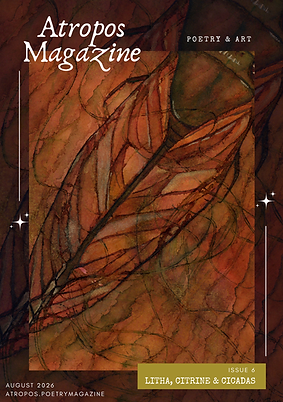 cover issue 6.png