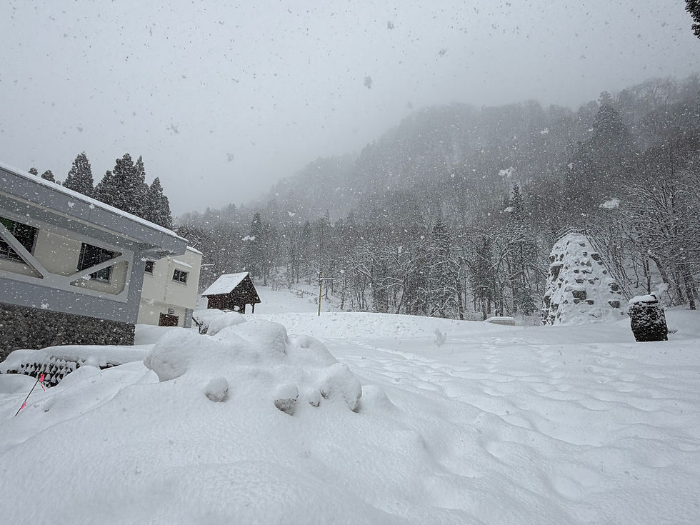 冬の登山研修所の景色