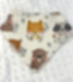 Thumbnail: Dino Affirmations Bandana Bib