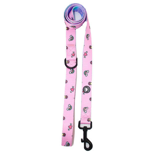 Unicorn Dust - Leash