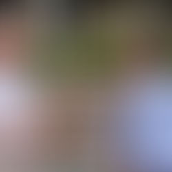 Budget needs to deliver for Burdekin