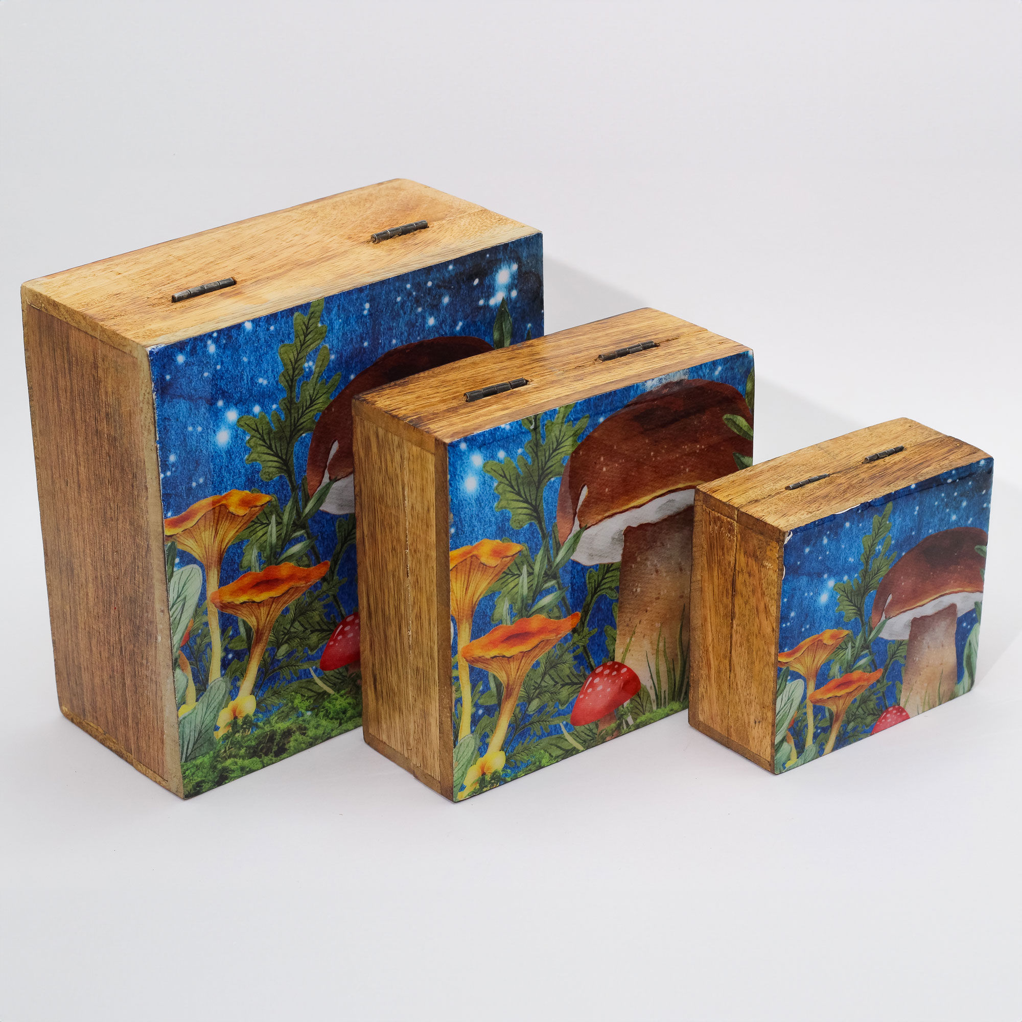 Enamelled Boxes Mushroom - Blue